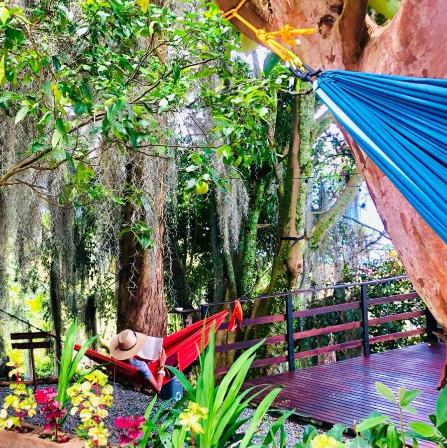 Eco Hostal Casa La Juana Medellín Exterior foto