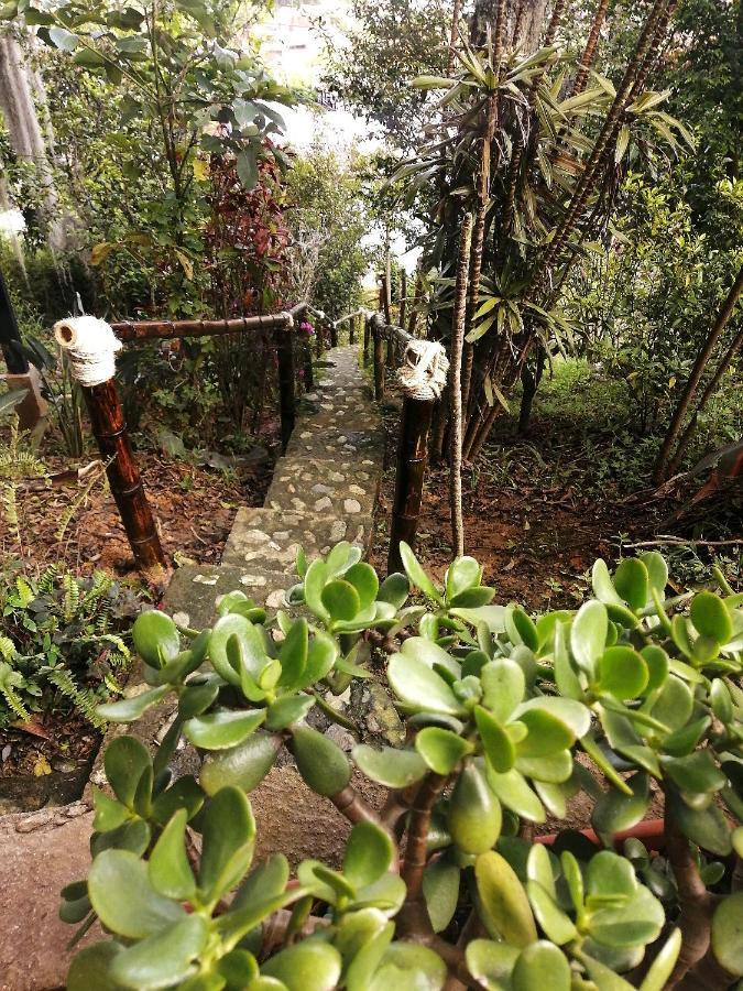 Eco Hostal Casa La Juana Medellín Exterior foto