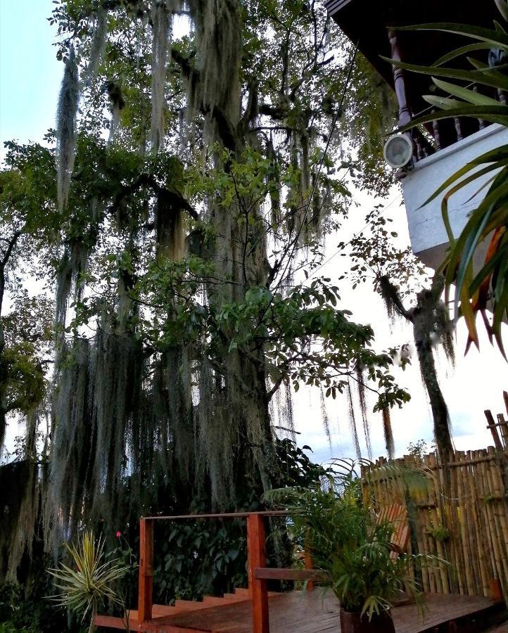 Eco Hostal Casa La Juana Medellín Exterior foto
